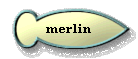  merlin 
