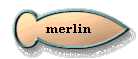  merlin 